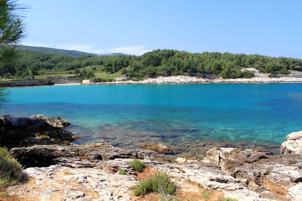 Apartman Marina