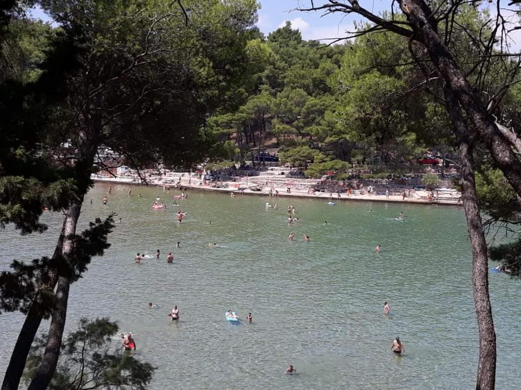 Marina Jelsa (Hvar)