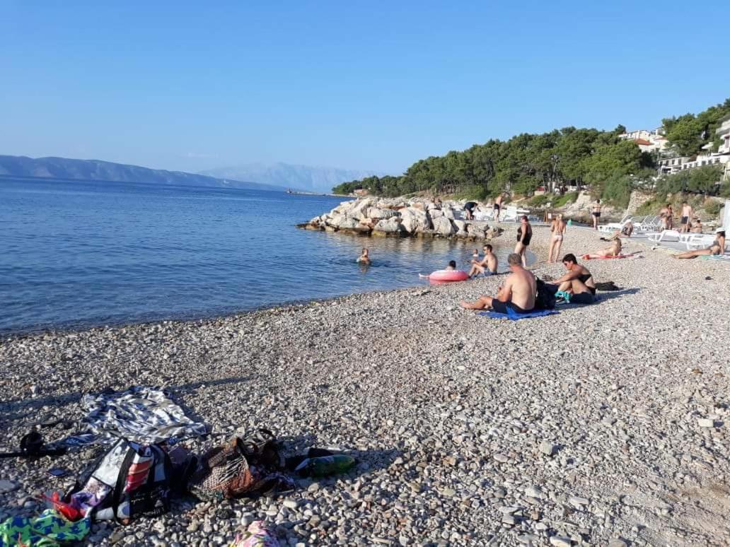 Marina Jelsa (Hvar)